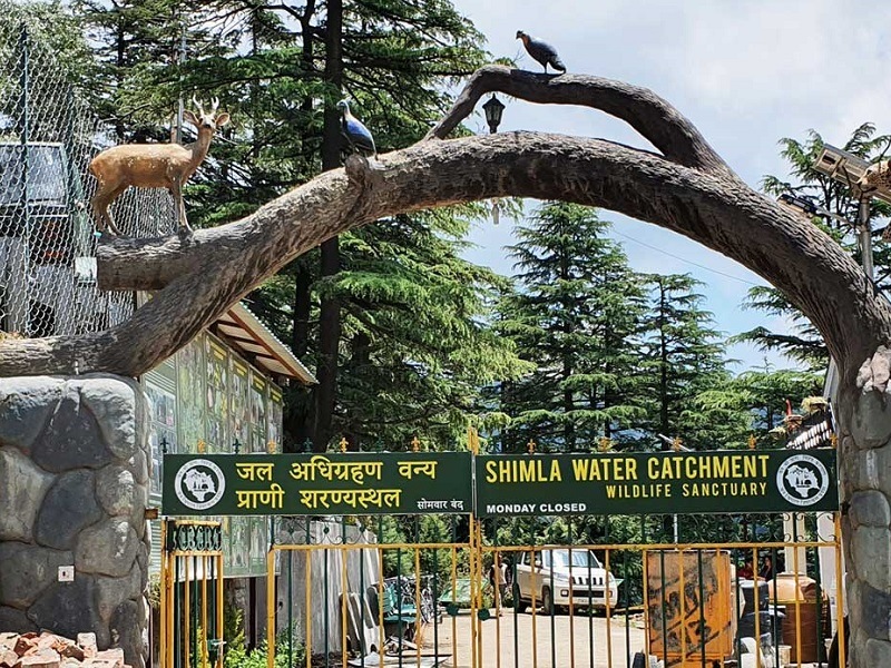 Exploring the Best Places to Visit in Shimla: A panoramic view of the majestic Himalayan landscapes, lush green valleys, and colonial architecture in this charming hill station.