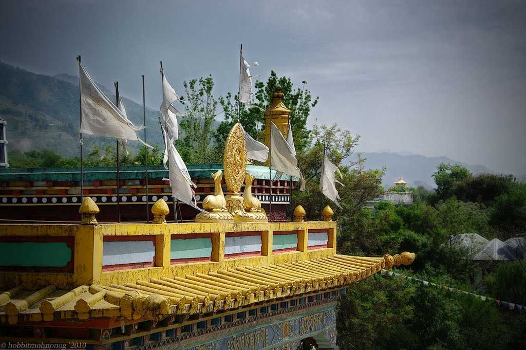 Sherbling Monastery: A Peaceful Himalayan Retreat/Things to do in Dharamshala