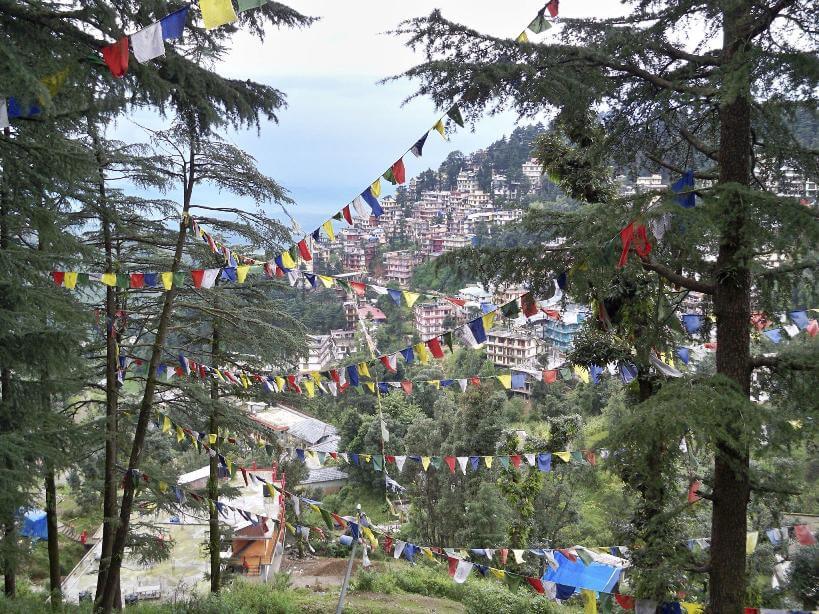 "Dharamshala Tourism: Discovering serenity amidst the Himalayan beauty in McLeod Ganj."