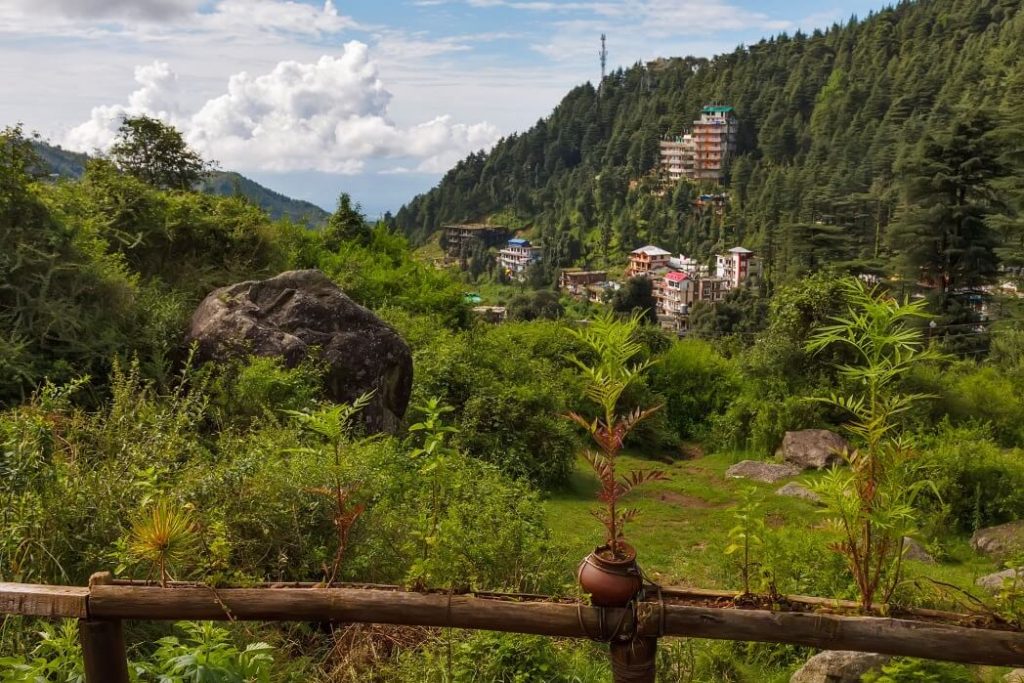 Dharamkot Village in Dharamshala: Here are some of the most popular things to do in Dharamshala