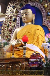 Namgyal Monastery in Dharamshala: Here are some of the most popular things to do in Dharamshala