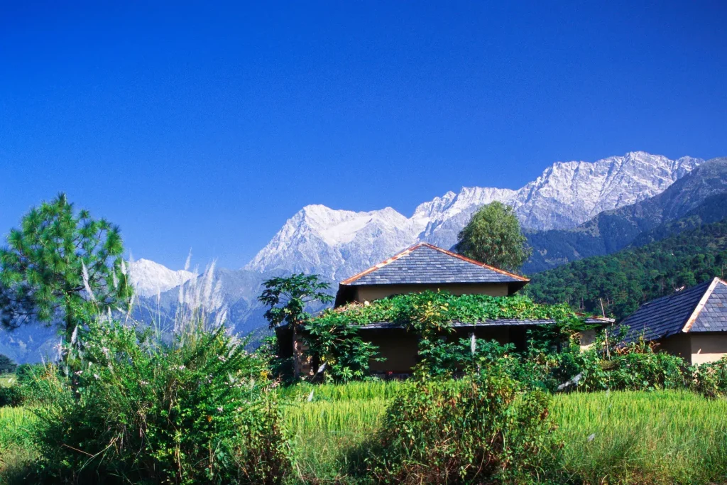 Palampur is one of Best places to visit in Himachal Pradesh