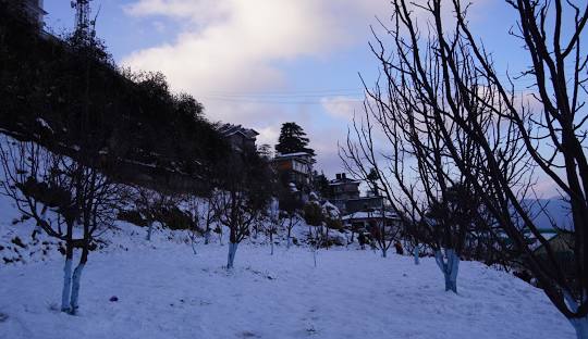 Kufri best place to visit in Shimla in December