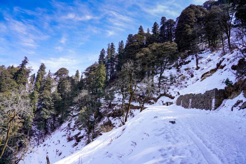 Narkanda/Shimla in December