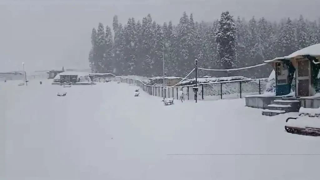 Kashmir receives new snowfall, and Gulmarg becomes dreamlike
