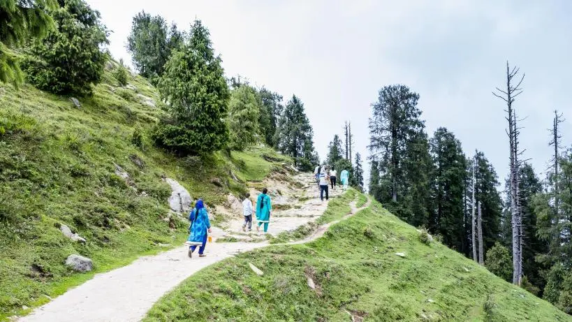 Dainkund Trek is counted among the top treks in Himachal Pradesh.