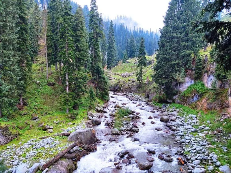 Doodhpathri,Best Places to Visit in Kashmir