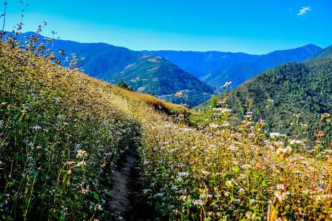 Dirang-Take a Trek Things to do in Arunachal Pradesh