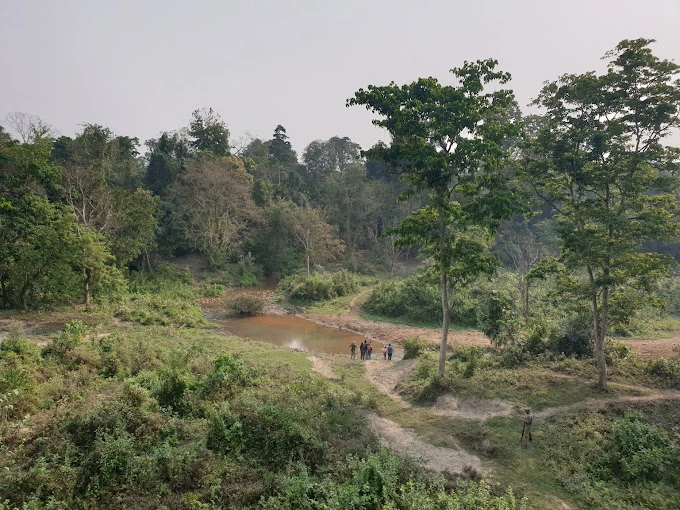 Pakhui Wildlife Sanctuary Arunachal Pradesh In February