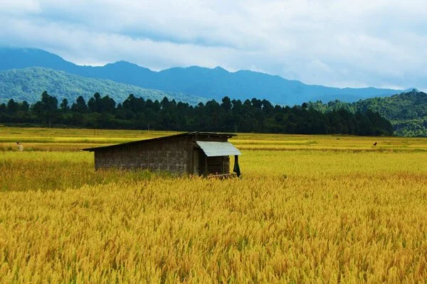 Mando Dolo Best Places To Visit in Ziro Valley