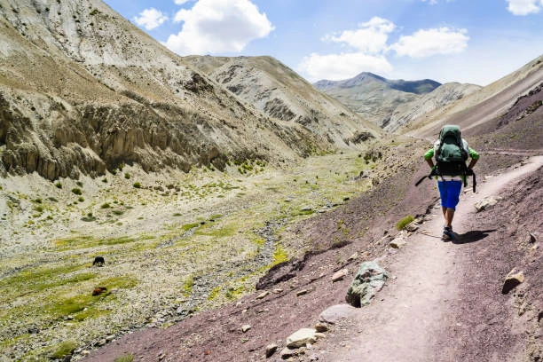 Trekking Activity in Leh