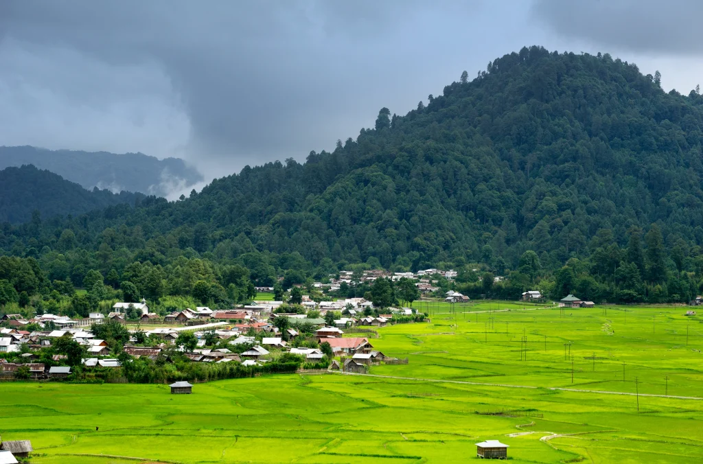 ziro valley Things to do in Arunachal Pradesh