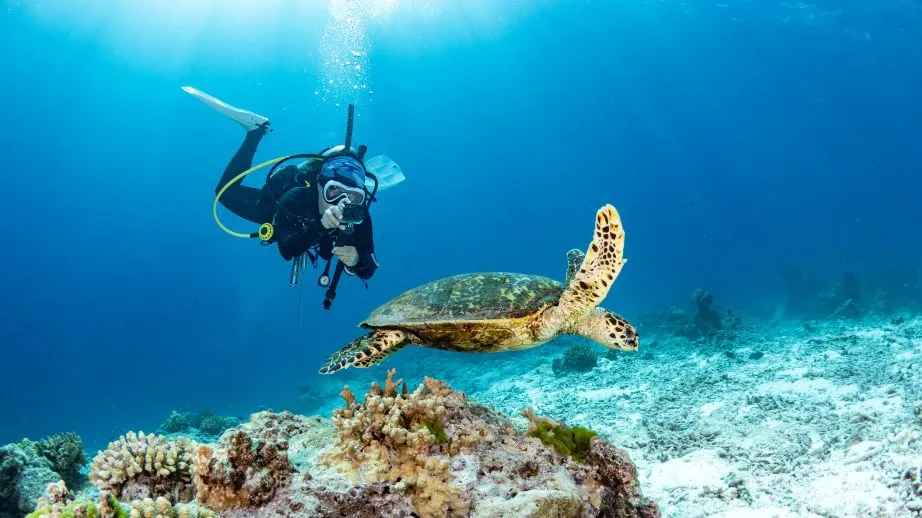 Scuba diving in Things to do in Lakshadweep