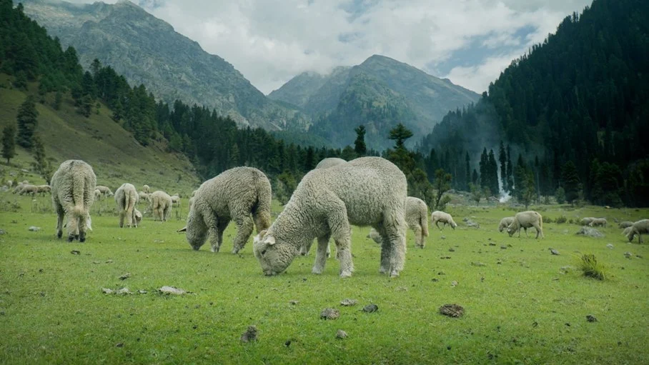 Pahalgam, Jammu and Kashmir in December