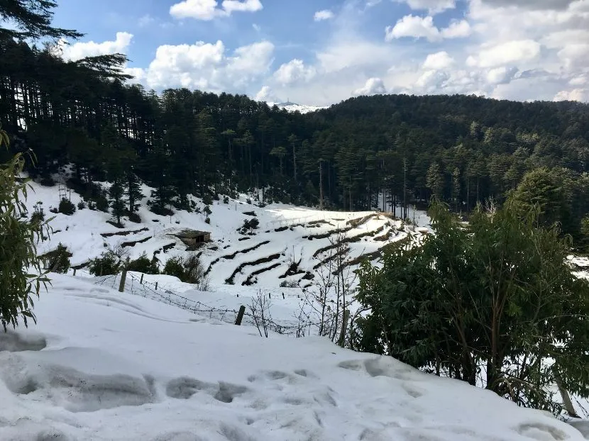 Patnitop, Jammu and Kashmir in december