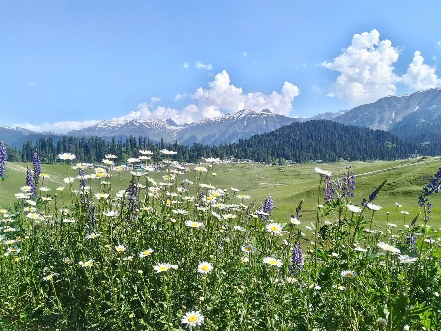 Gulmarg Biosphere Reserve places to visit in Gulmarg in September