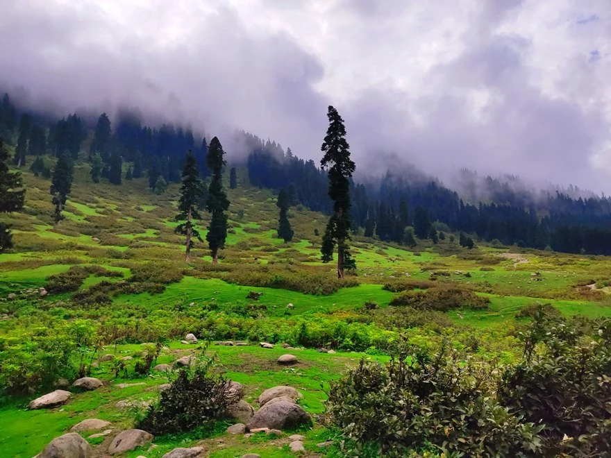 Doodhpathri, jammu and Kashmir in October