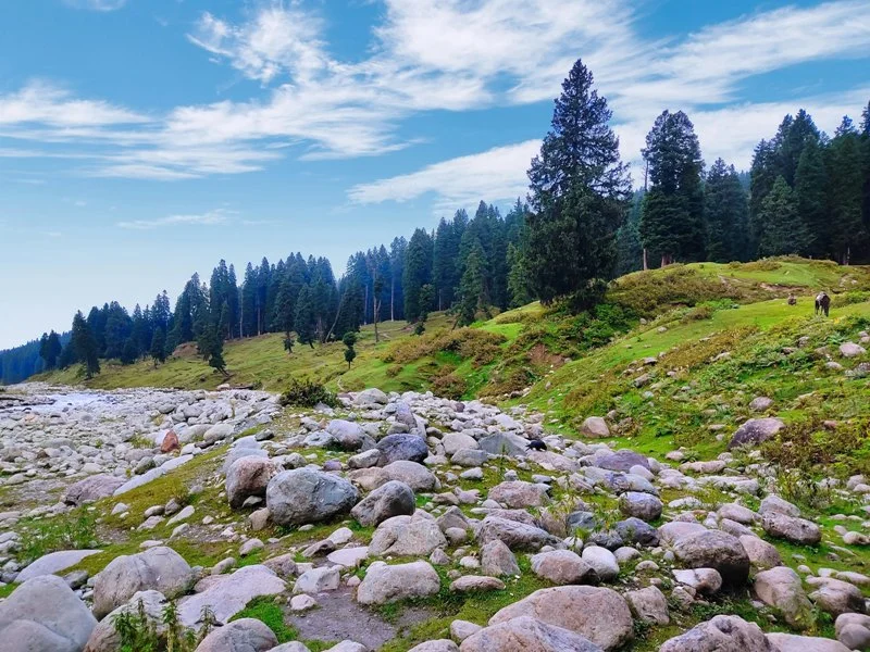 Relax in Doodhpathri, Jammu and Kashmir in September