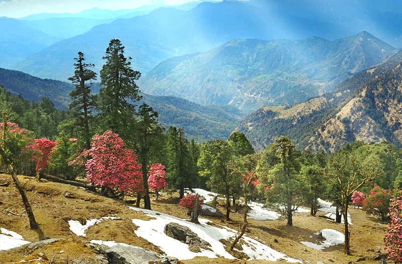 Almora