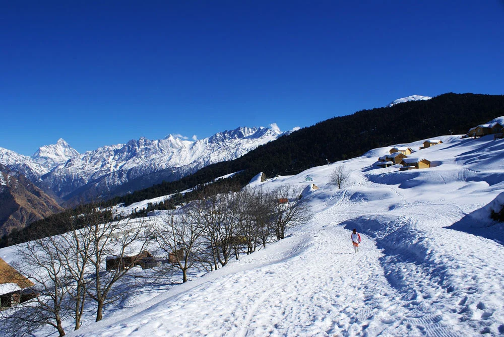 Auli Uttarakhand in January