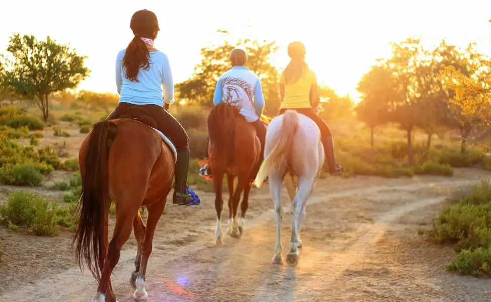 Horse ride in Nainital Uttarakhand