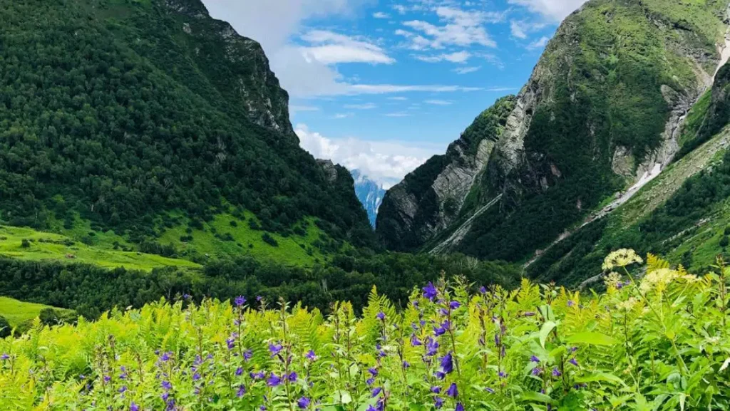 Summer Season in Uttarakhand