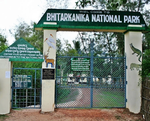 Explore the wildlife at Bhitarkanika National Park