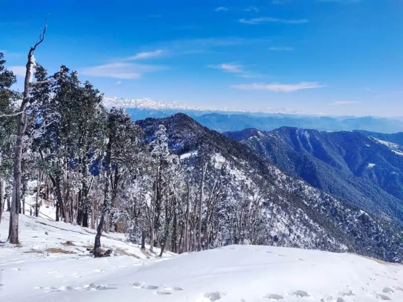 One of the best things to do in Mussoorie is Nag Tibba Trek