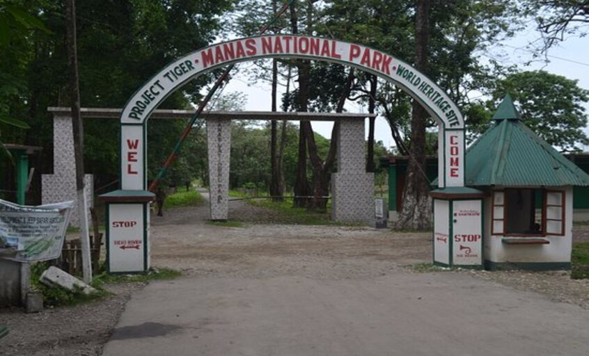 Manas National Park in Assam