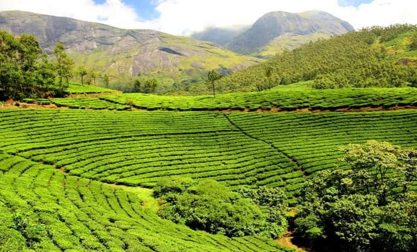 Karimganj: Vegetable Gardens & Wetlands in Assam