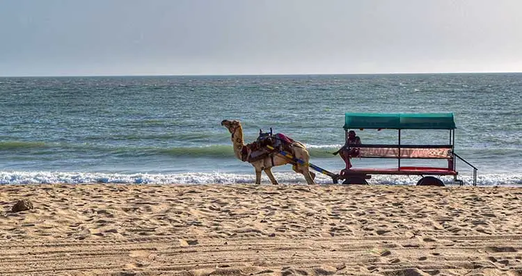 Mandvi Beach Gujarat