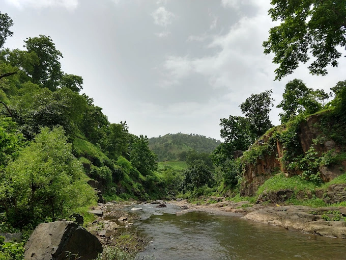 Shoolpaneshwar Wildlife Sanctuary Gujarat