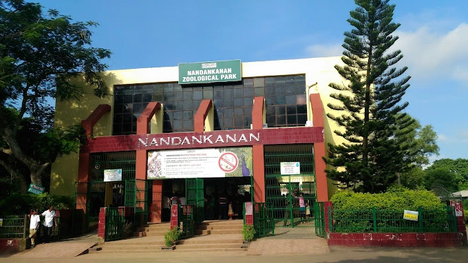 Visit the Nandankanan Zoological Park