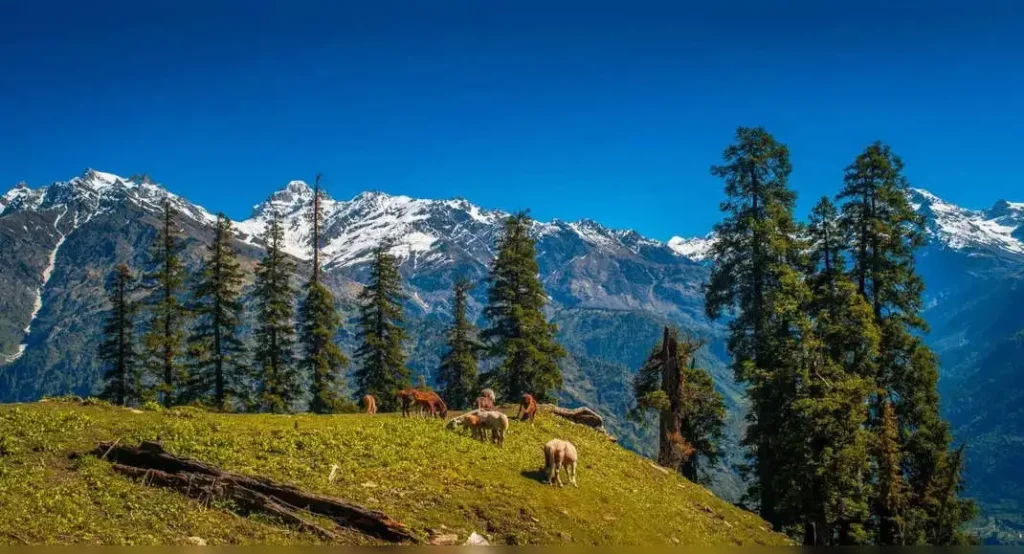 Himachal Pradesh In May