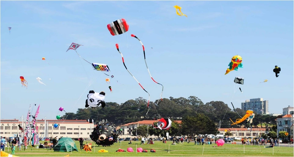 Kite Festival in Jodhpur