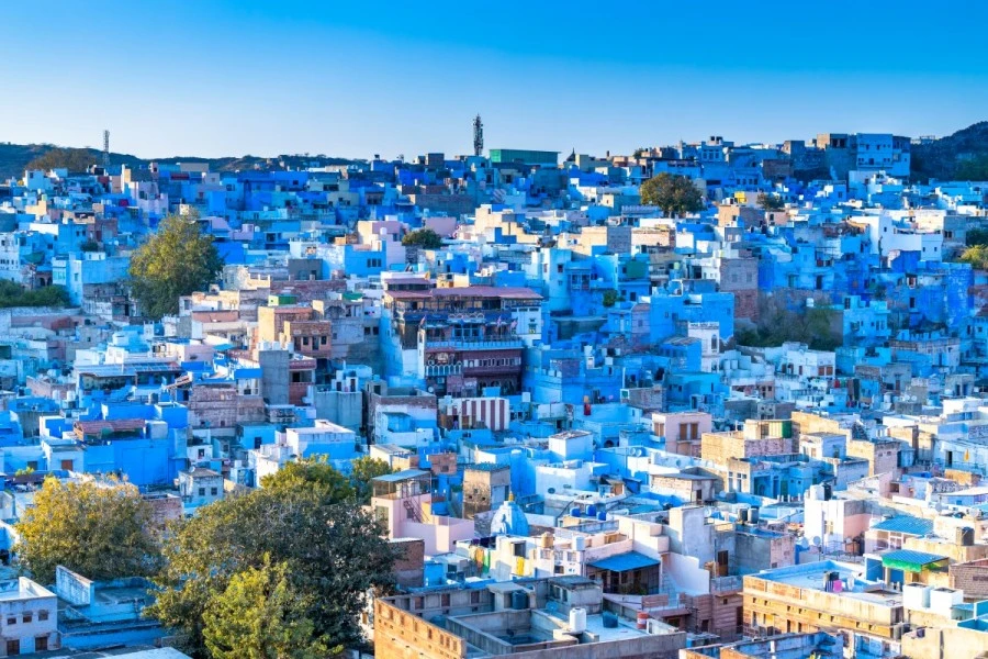 One of the best Things to Do in Rajasthan is Explore the streets of Jodhpur's blue city