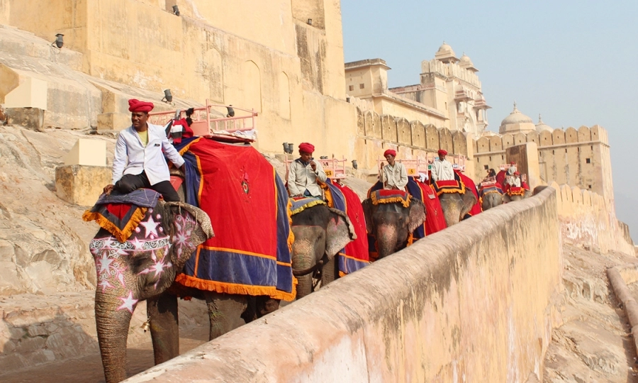 Participating in an Elephant Safari is a popular Things to do in Jaipur