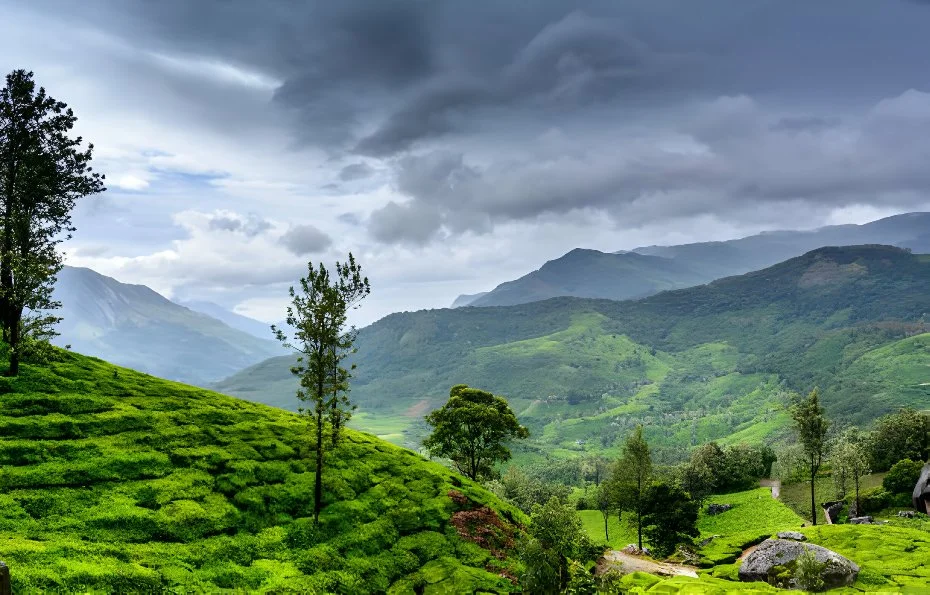 Wayanad Kerala