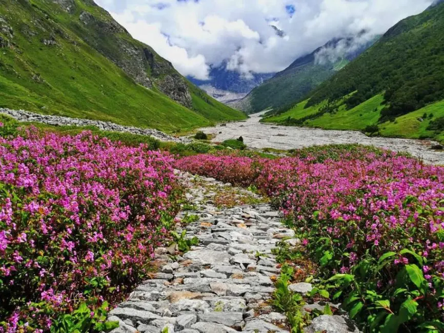 Valley of Flowers Uttarakhand