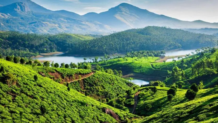 Munnar is a beautiful destination in Kerala