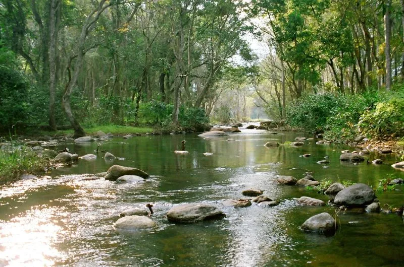 Chinnar Wildlife Sanctuary in Kerala