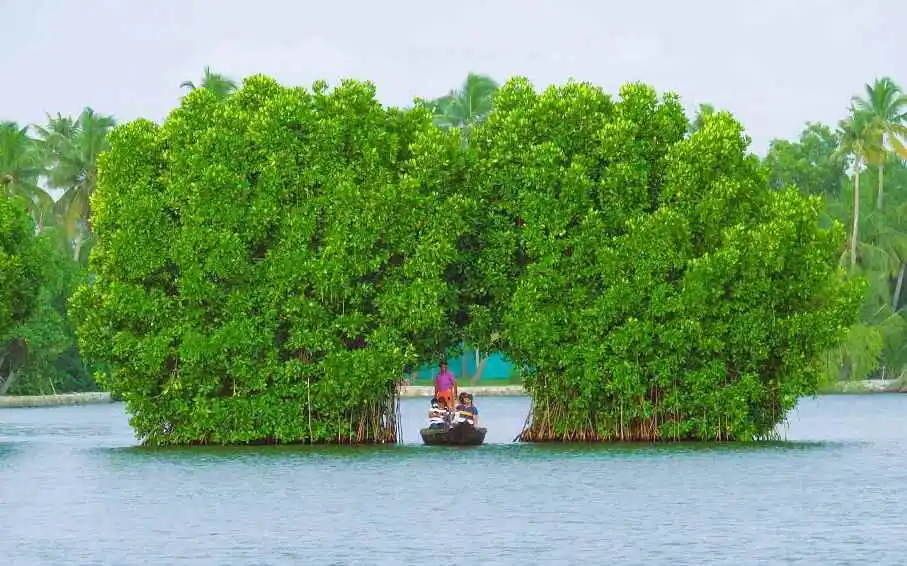 Munroe Island