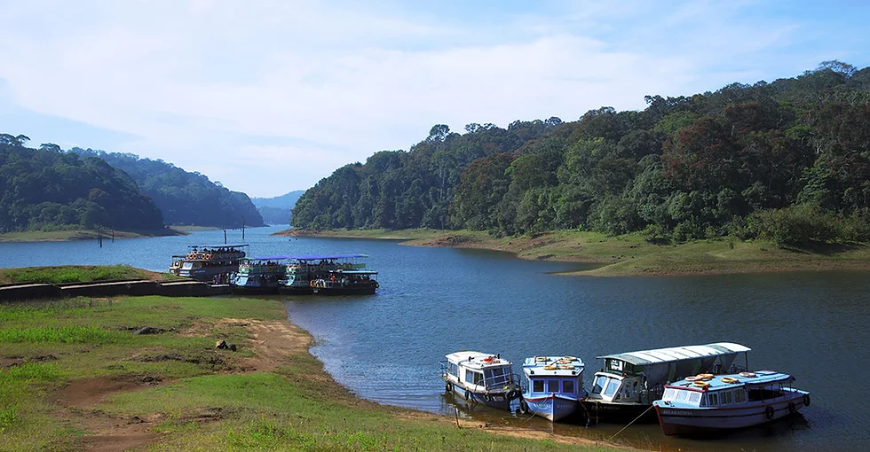 Thekkady is beautiful hill station in Kerala