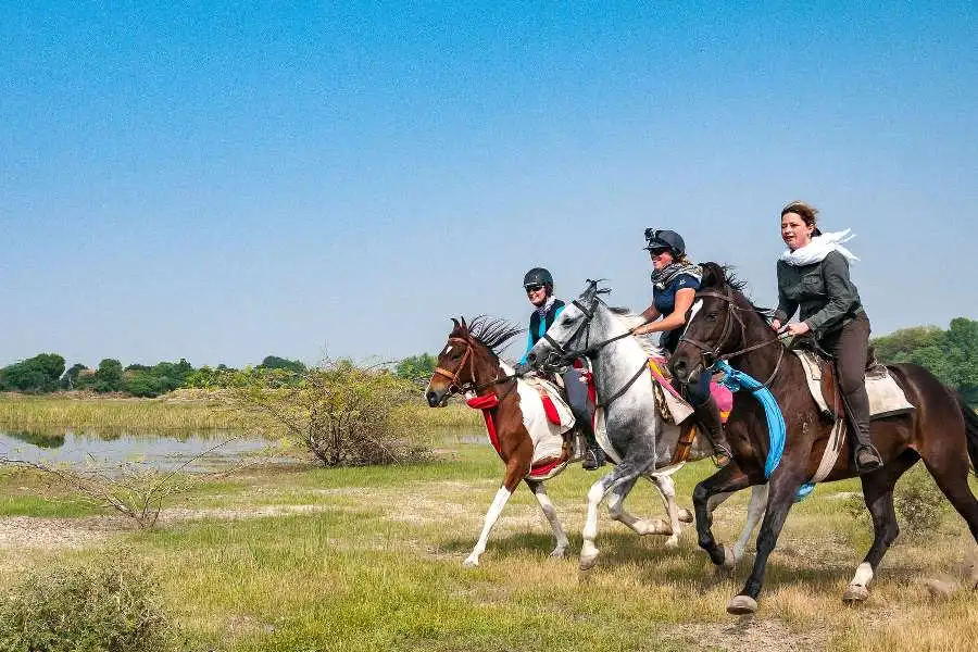 Horseback Riding at Aravalli Range