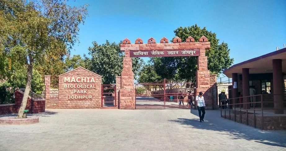 Machia Biological Park Jodhpur