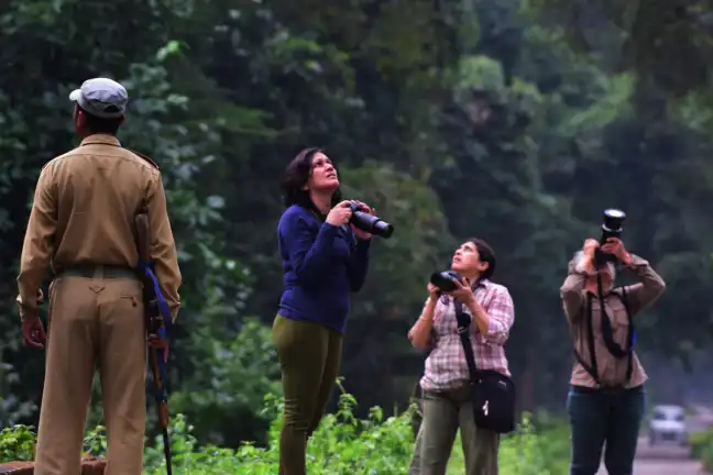 Photography Tours in Kaziranga
