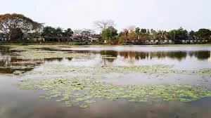 Hazara Pukhuri in tezpur