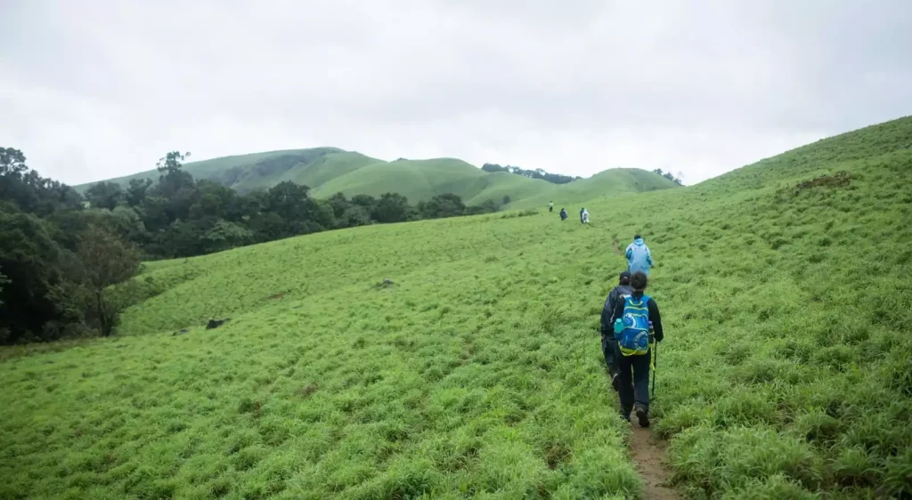 Trekking in the Western Ghats in Kerala