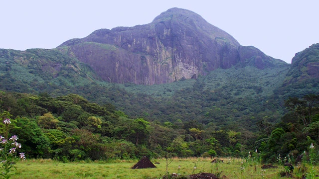 Go Trekking in Agasthyakoodam