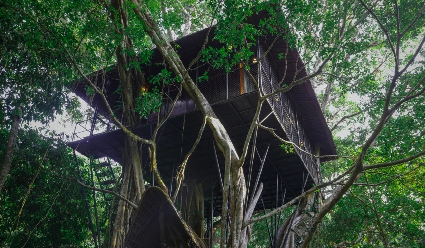 Stay in a Treehouse in Wayanad